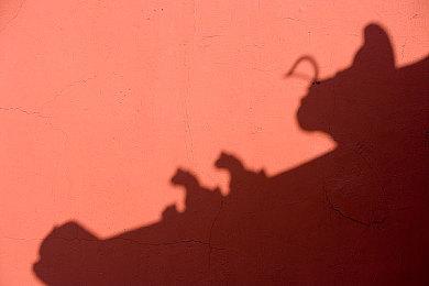 《幻兽帕鲁》更新计划发布 将优先解决服务器问题